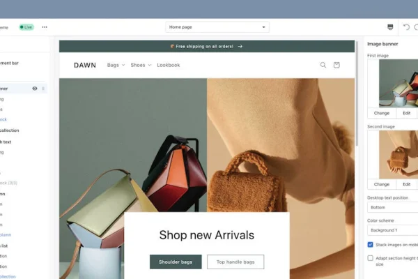 shopify-online-store